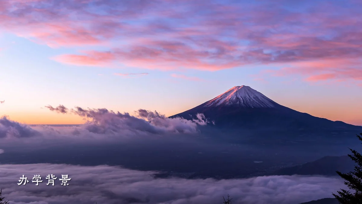 办学背景