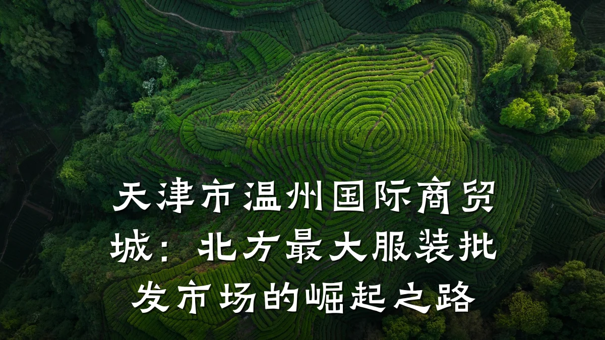 天津市温州国际商贸城：北方最大服装批发市场的崛起之路