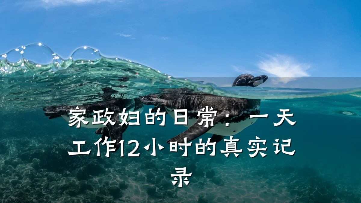 家政妇的日常:一天工作12小时的真实记录