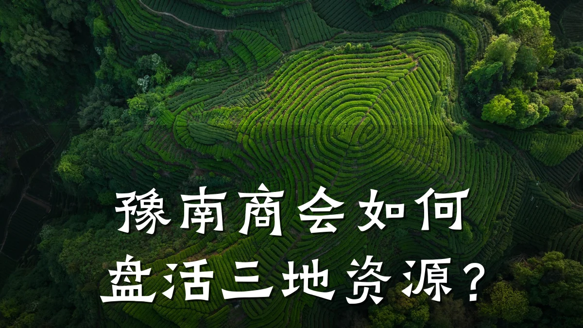 豫南商会如何盘活三地资源?