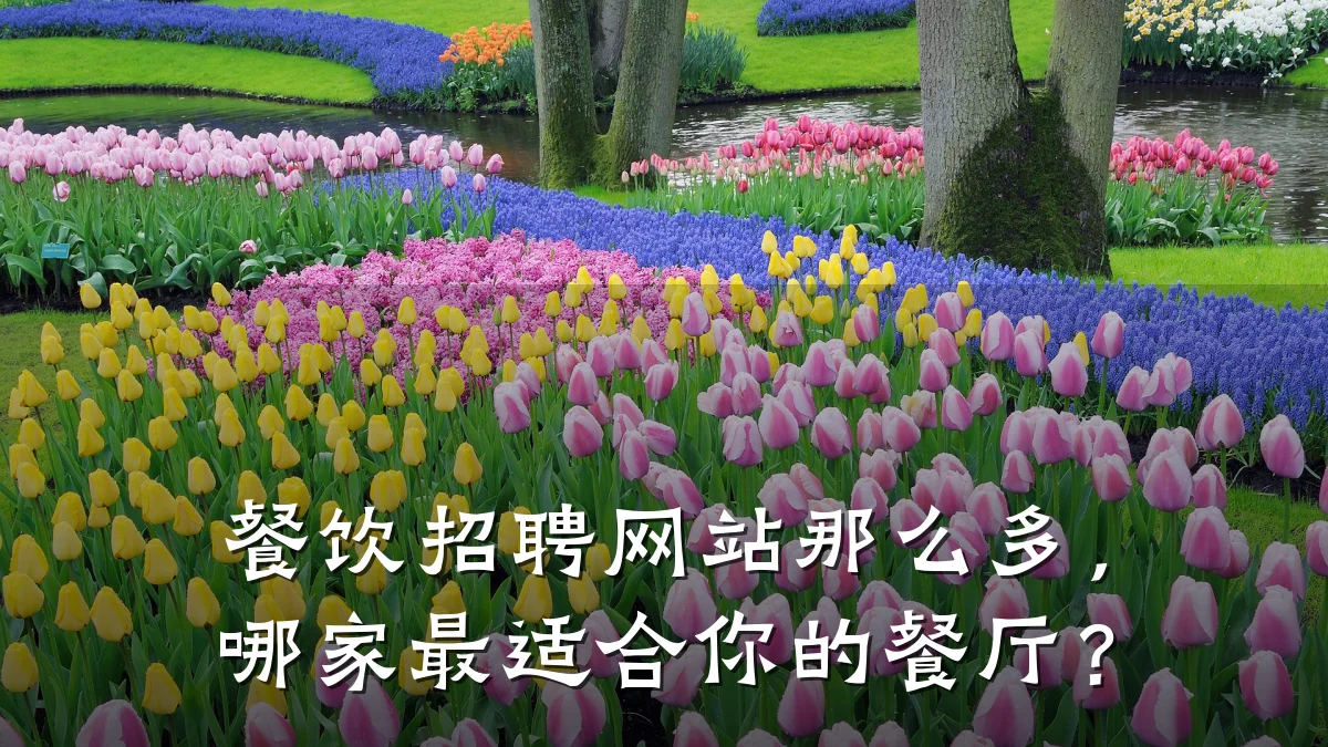 餐饮招聘网站那么多，哪家最适合你的餐厅？