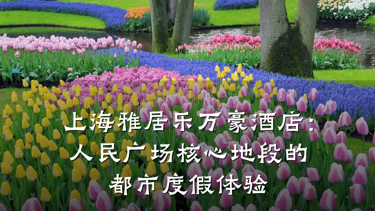 上海雅居乐万豪酒店:人民广场核心地段的都市度假体验