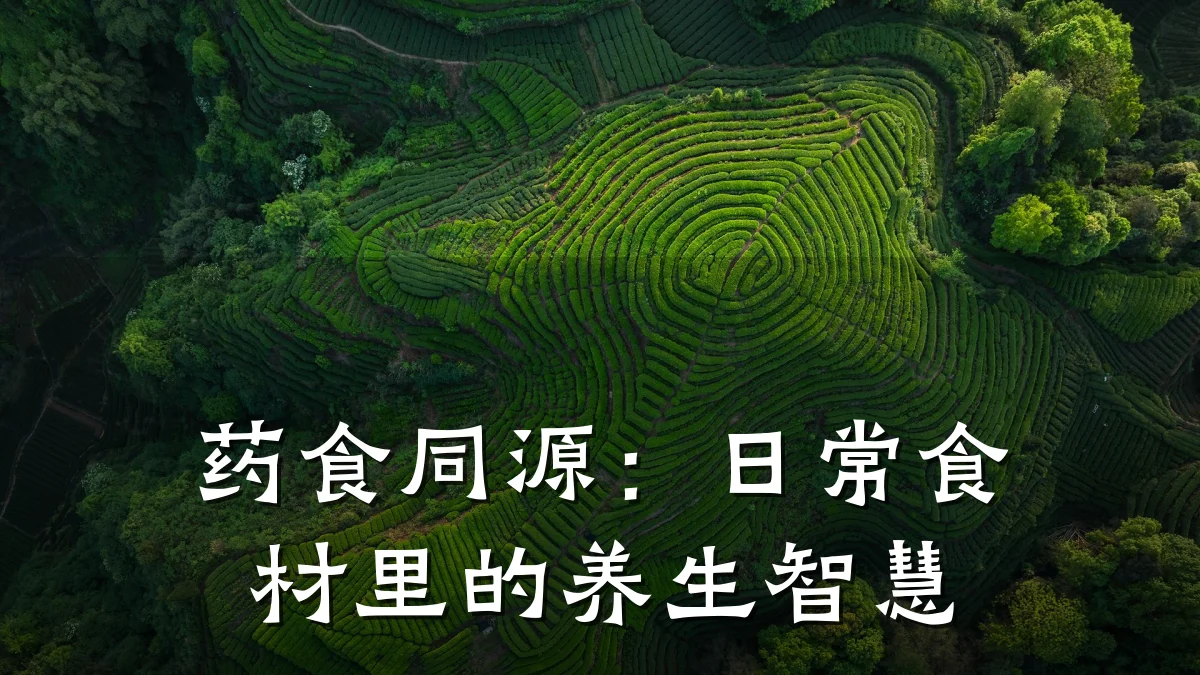 药食同源:日常食材里的养生智慧