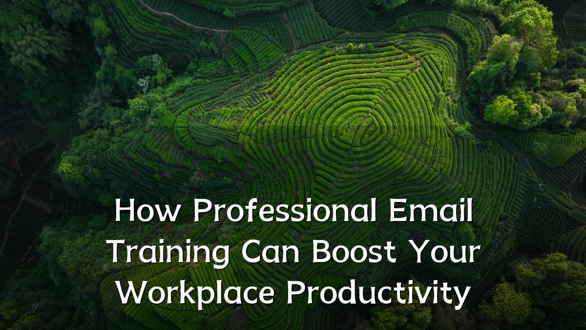 How Professional Email Training Can Boost Your Workplace Productivity