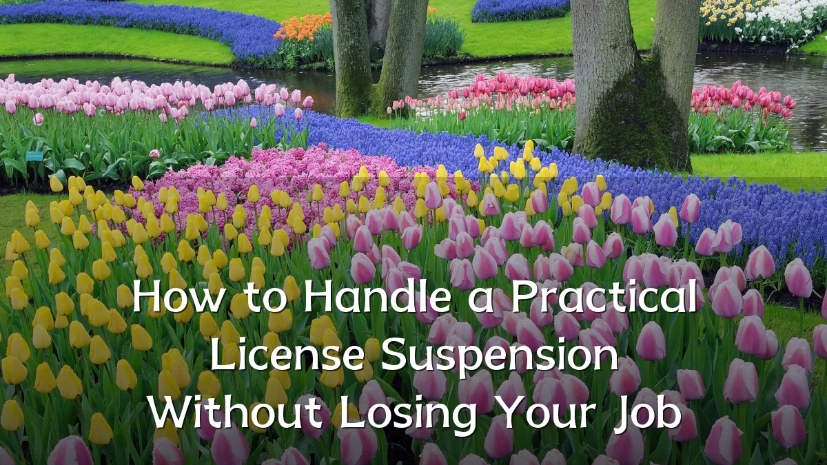 How to Handle a Practical License Suspension Without Losing Your Job
