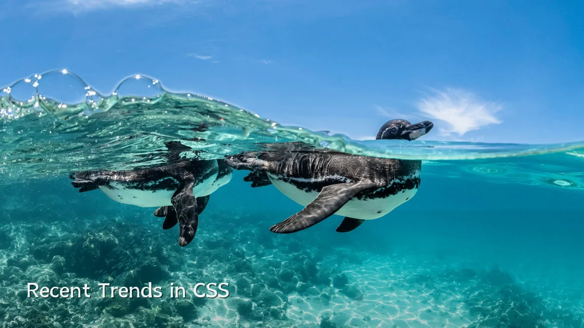 Recent Trends in CSS