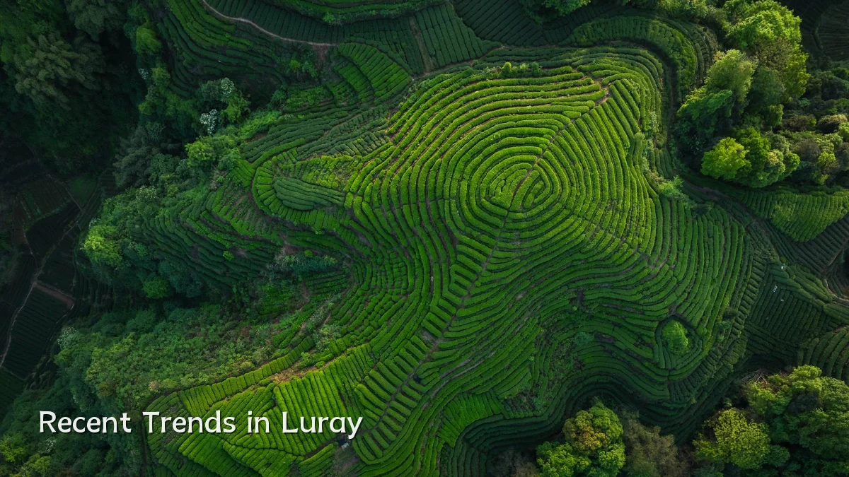 Recent Trends in Luray