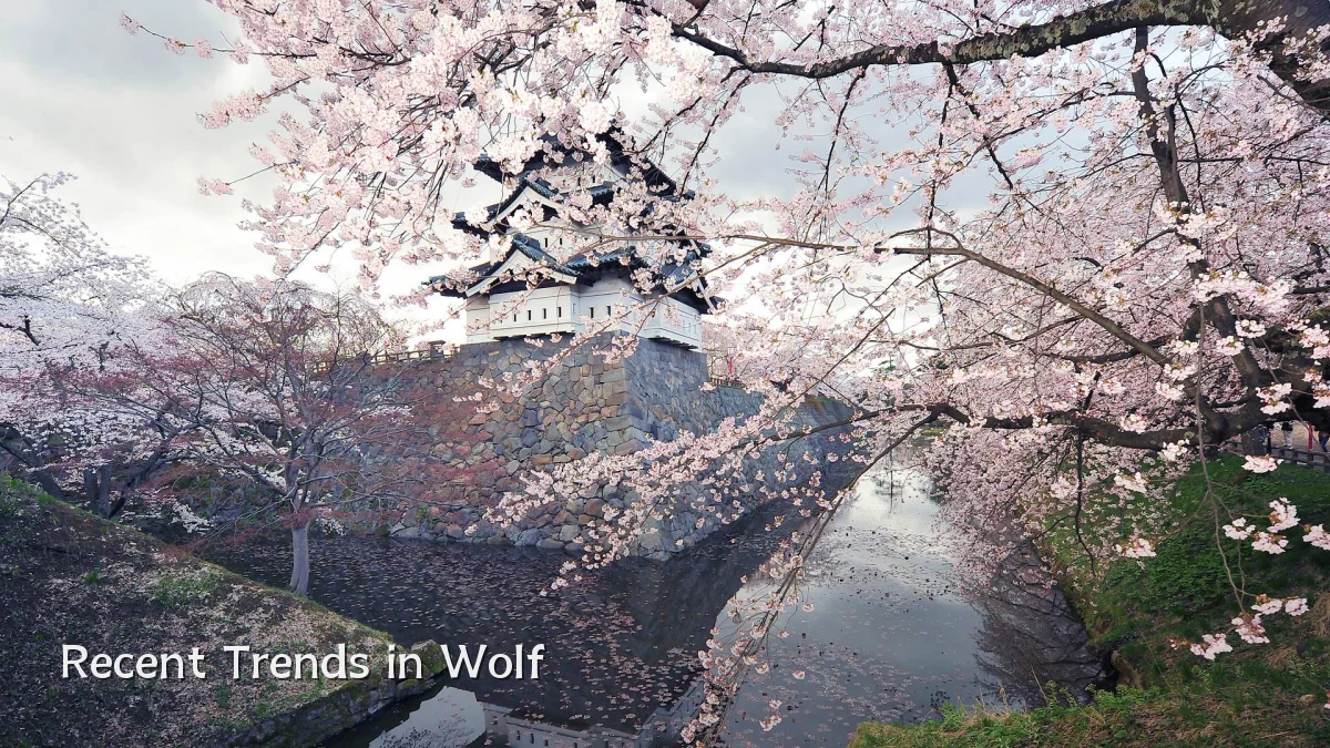 Recent Trends in Wolf