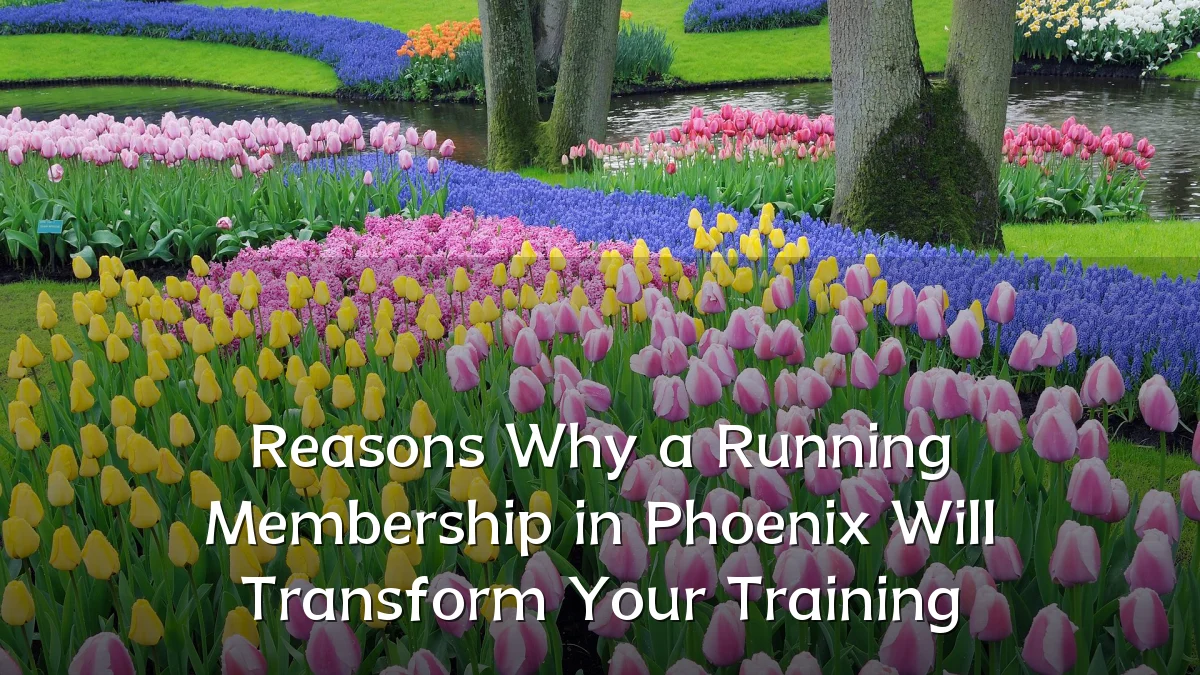 Reasons Why a Running Membership in Phoenix Will Transform Your Training