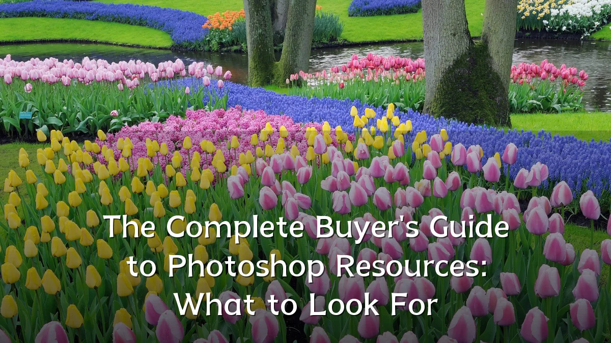 The Complete Buyer's Guide to Photoshop Resources: What to Look For