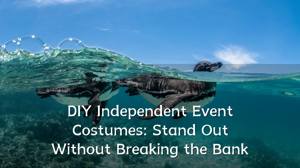 DIY Independent Event Costumes: Stand Out Without Breaking the Bank