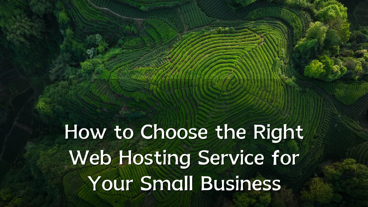 How to Choose the Right Web Hosting Service for Your Small Business
