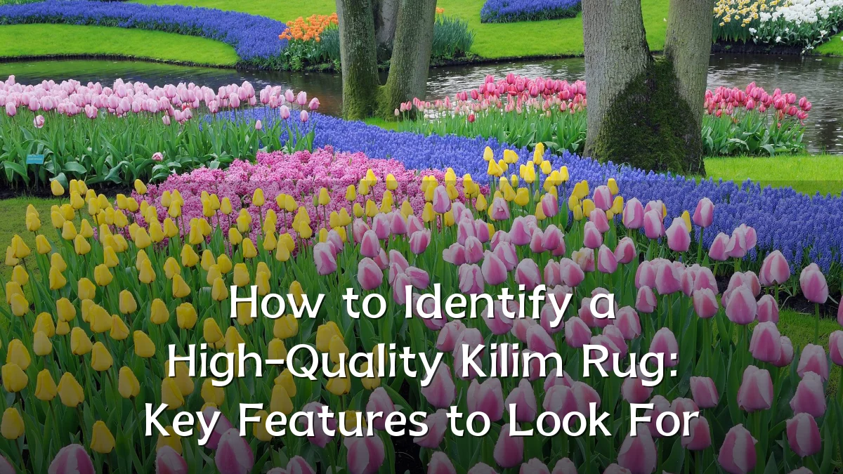 How to Identify a High-Quality Kilim Rug: Key Features to Look For