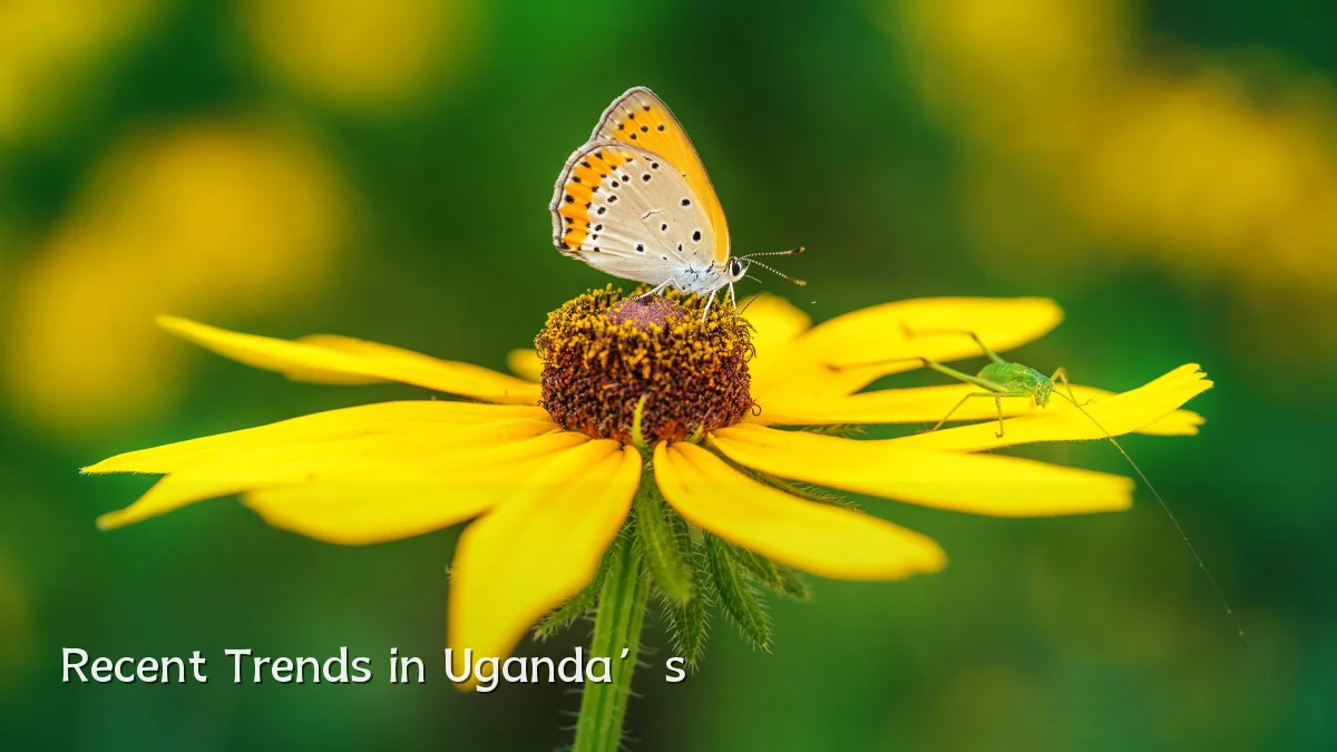 Recent Trends in Uganda’s