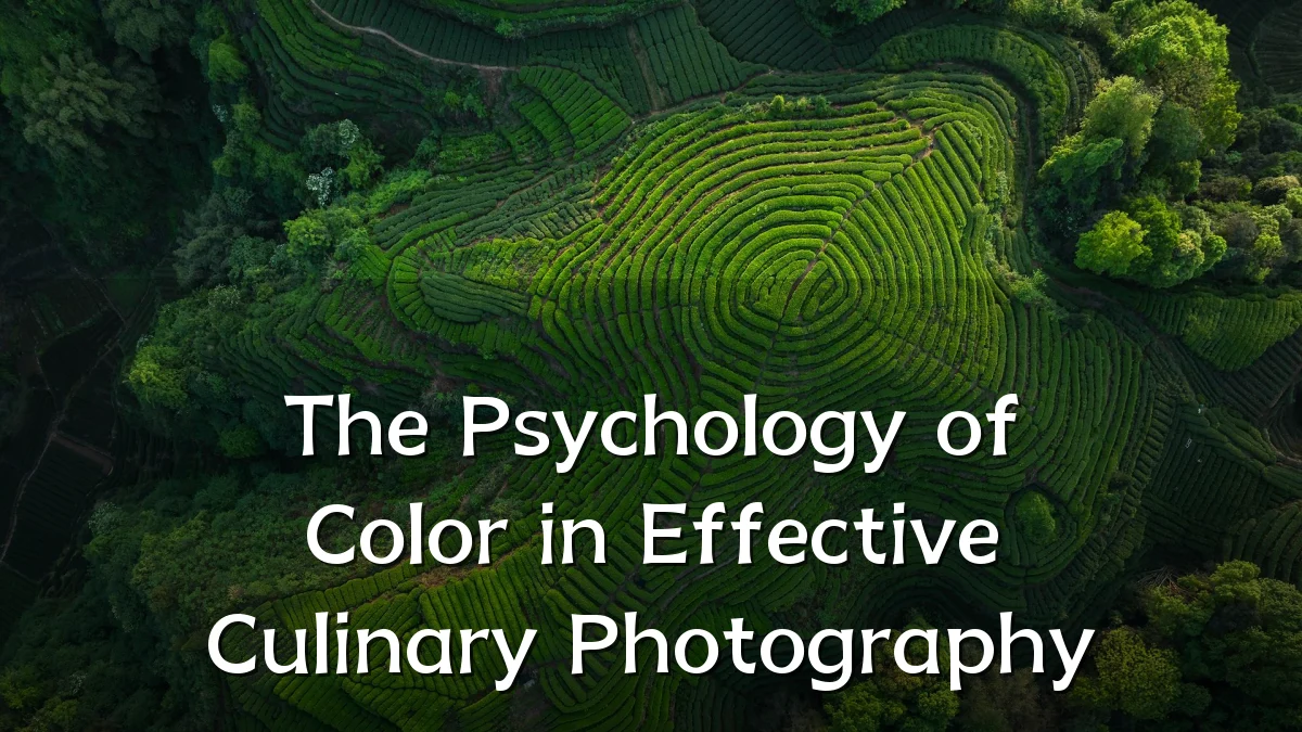 The Psychology of Color in Effective Culinary Photography