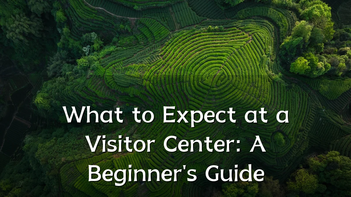 What to Expect at a Visitor Center: A Beginner's Guide