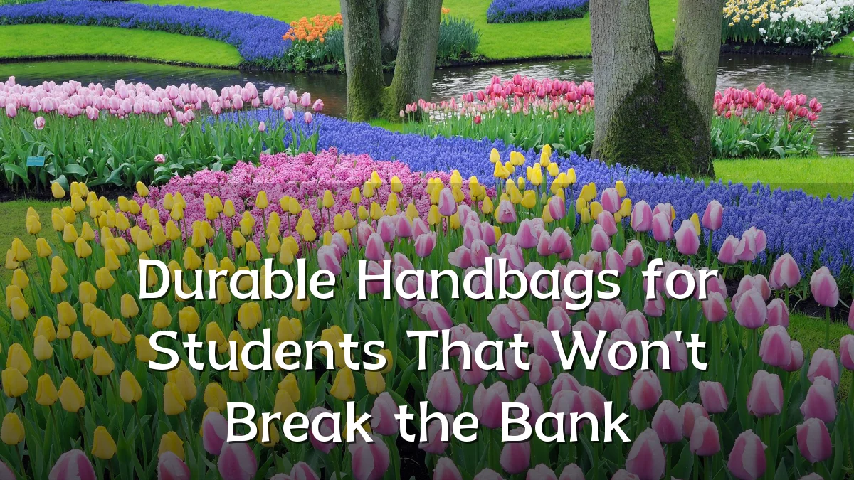 Durable Handbags for Students That Won't Break the Bank