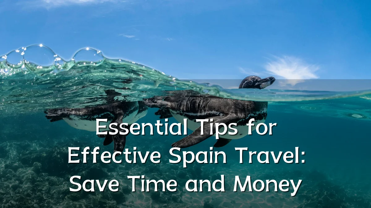 Essential Tips for Effective Spain Travel: Save Time and Money