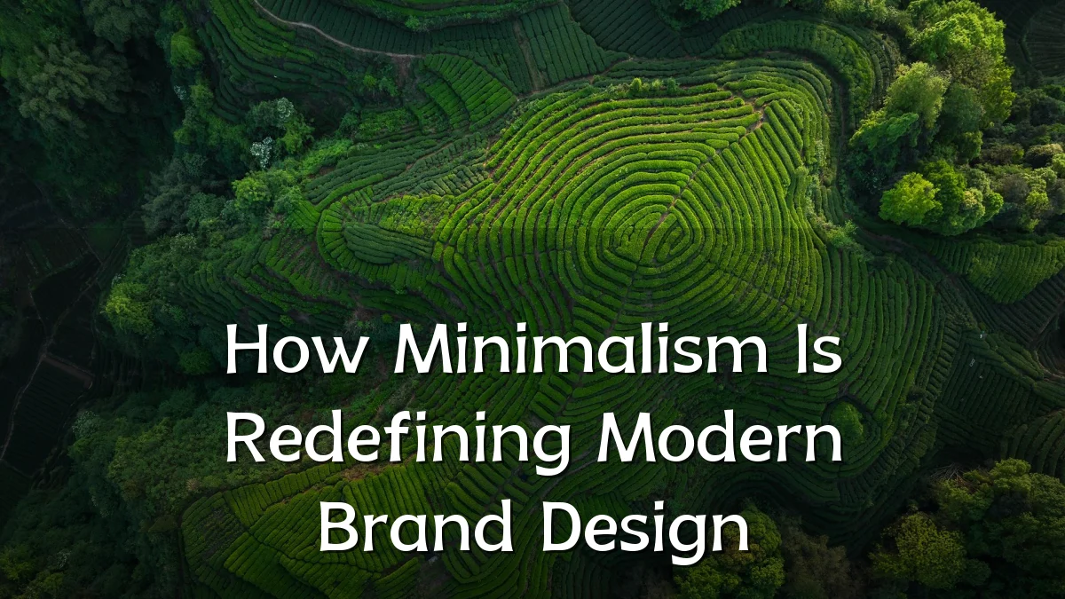 How Minimalism Is Redefining Modern Brand Design