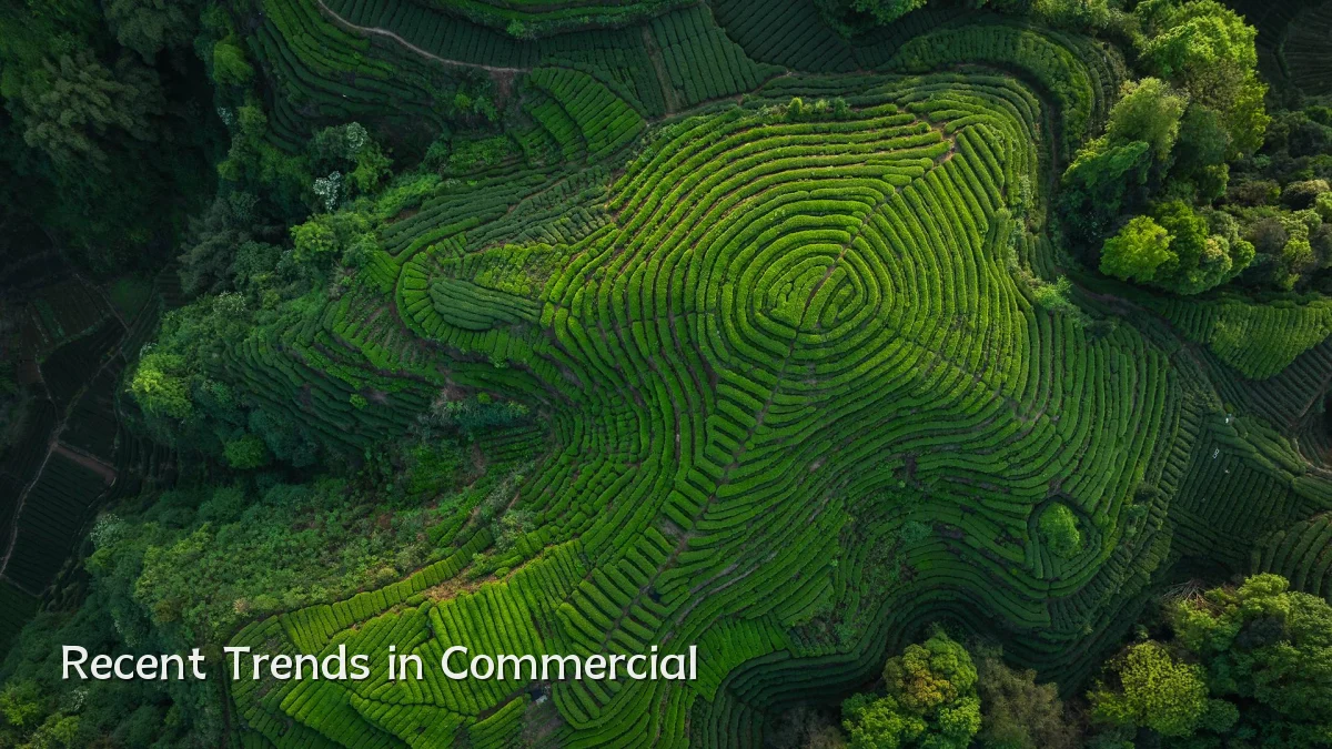 Recent Trends in Commercial