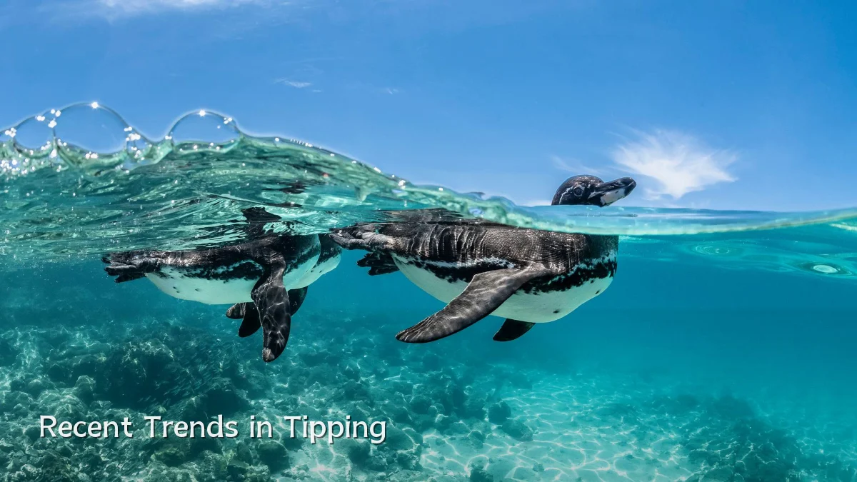 Recent Trends in Tipping