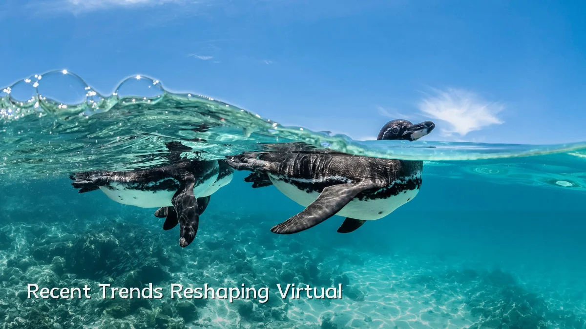Recent Trends Reshaping Virtual