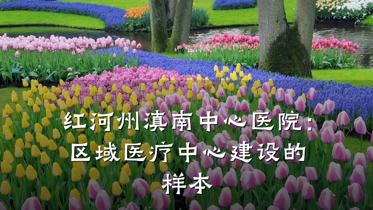 红河州滇南中心医院：区域医疗中心建设的样本