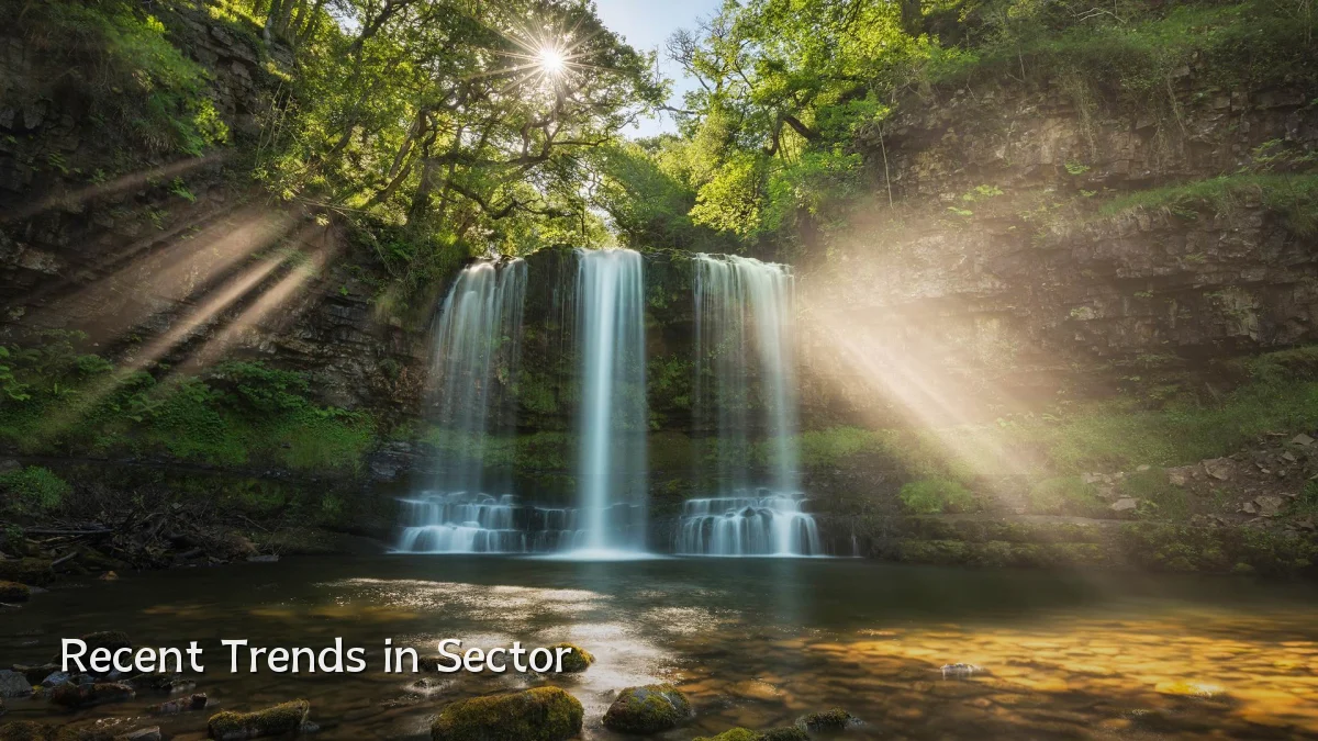 Recent Trends in Sector