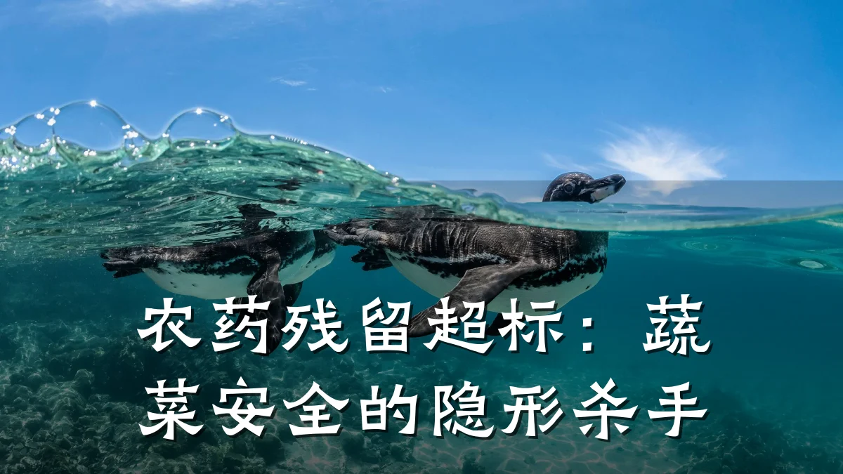 农药残留超标：蔬菜安全的隐形杀手