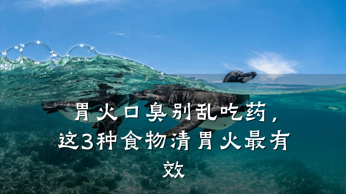 胃火口臭别乱吃药,这3种食物清胃火最有效