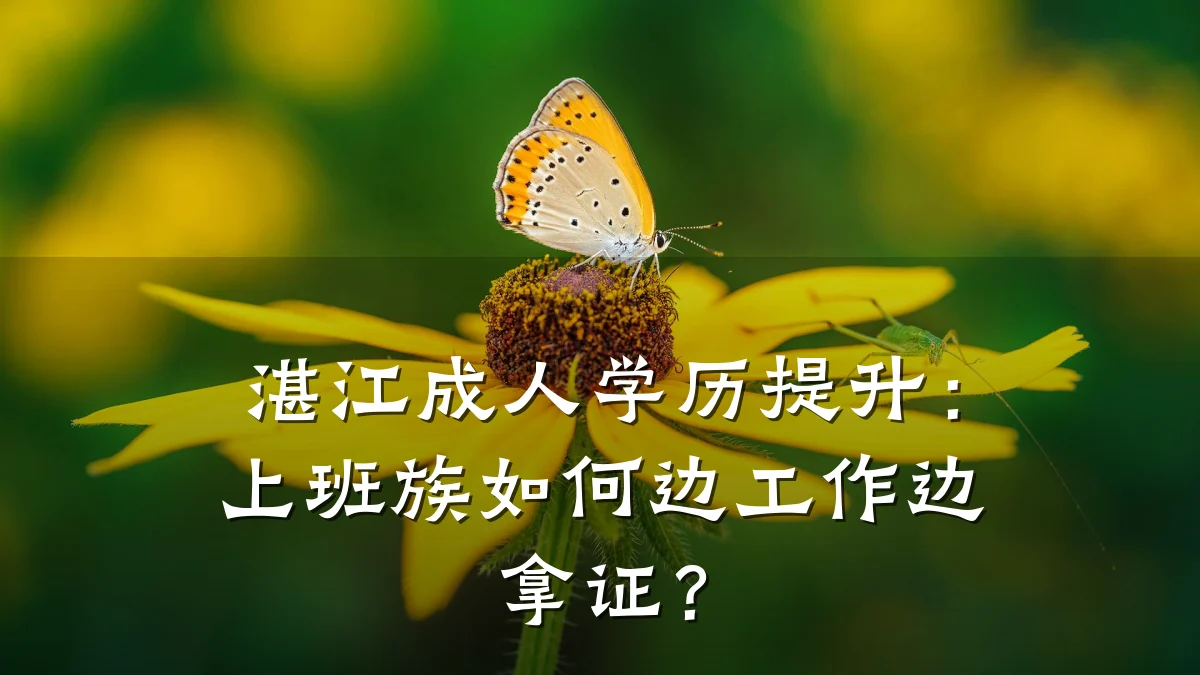 湛江成人学历提升:上班族如何边工作边拿证?