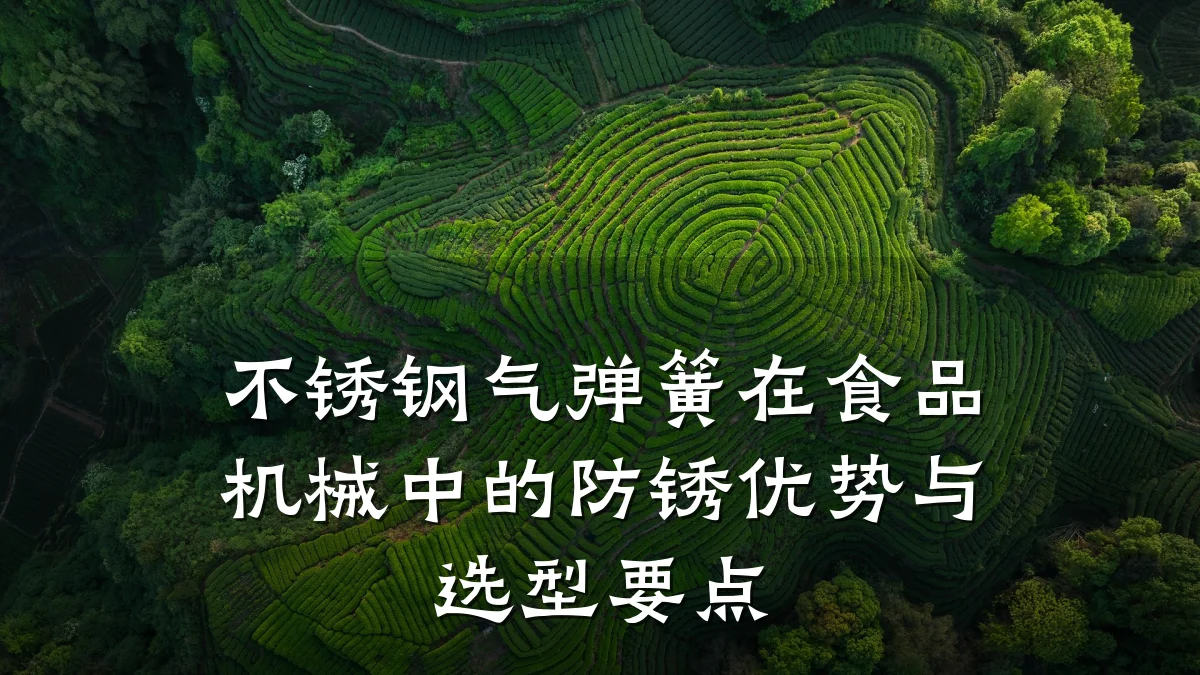 不锈钢气弹簧在食品机械中的防锈优势与选型要点